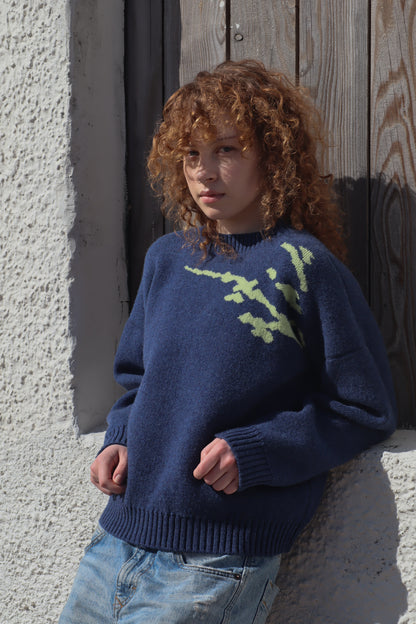 Arisaig Jumper - Rhapsody